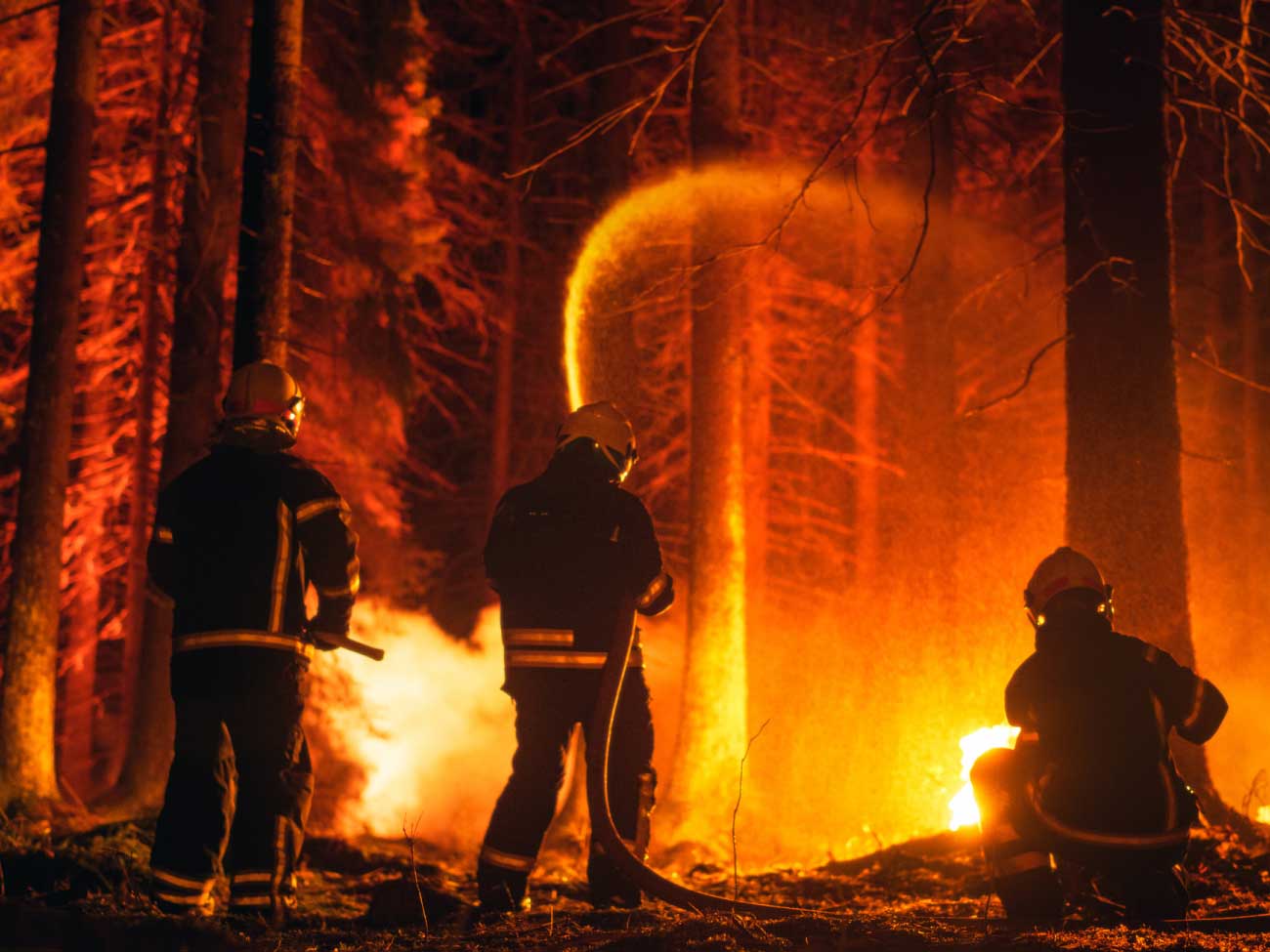 Wildfire events for Families & Communities
